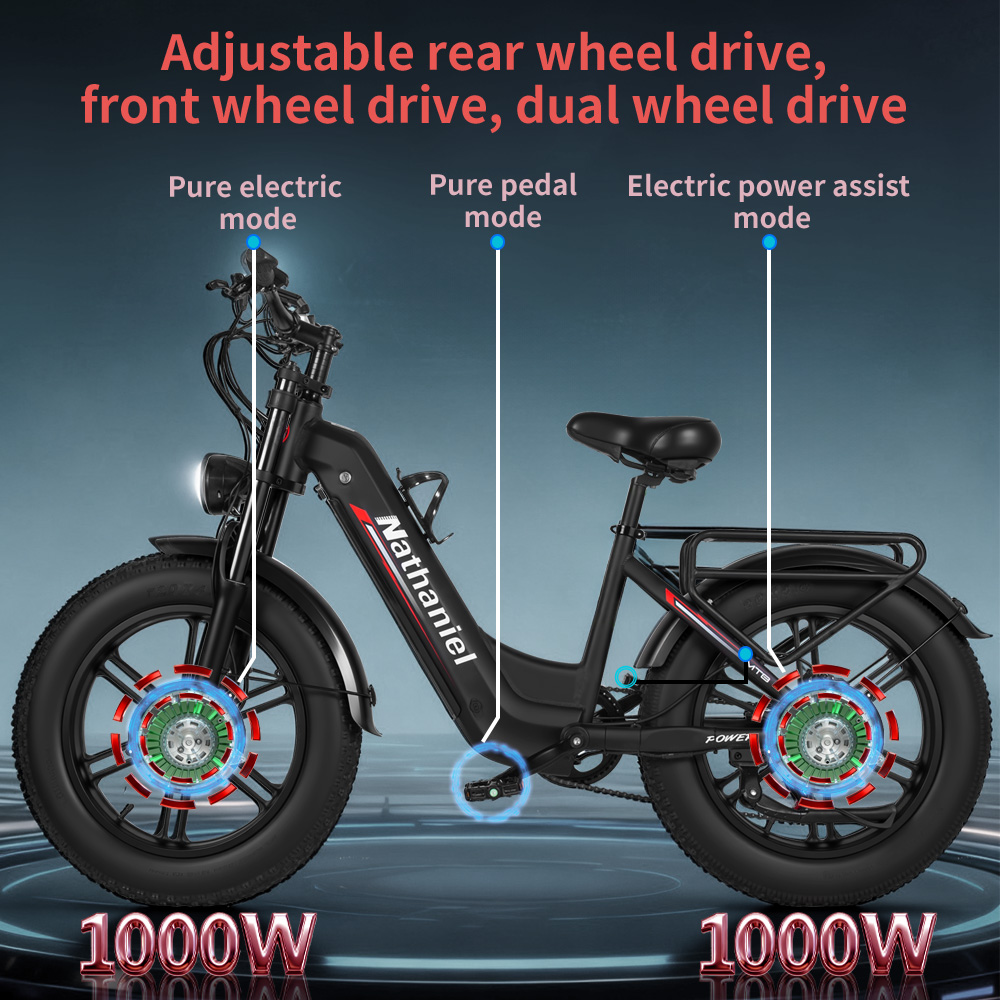 Adult Electric Bicycle Nathani - Dual Motor Ebike Kit 2000W 评论和价格